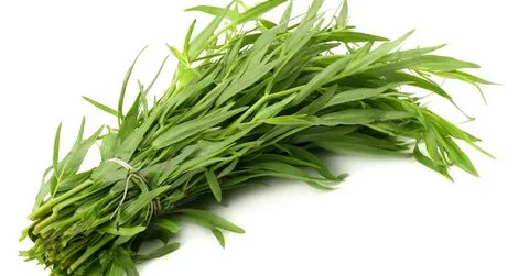 تصویر 2 از خرید نقدی سبزی ترخون خشک + تخفیف ویژه